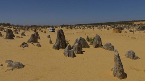 Pinnacles Desert, Koalas And Sandboarding 4WD Day Tour From Perth - Tourism Brisbane 4