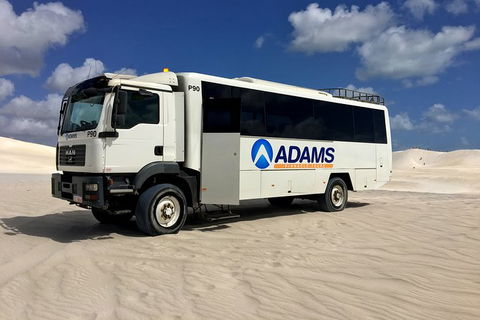 Pinnacles Desert, Koalas And Sandboarding 4WD Day Tour From Perth - Tourism Brisbane 28