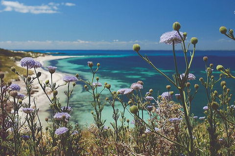 Rottnest Island Full-Day Trip With Guided Island Tour From Perth - Tourism Brisbane 6