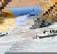 Horizontal Falls Half-Day Tour from Broome - Brisbane 4u