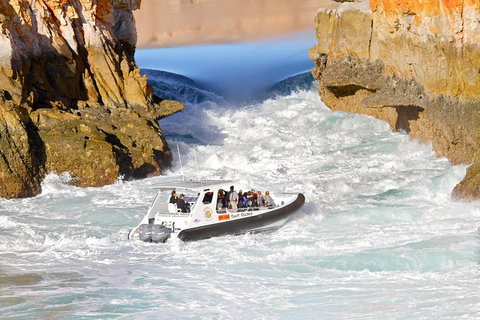 Horizontal Falls Half-Day Tour From Broome - Tourism Brisbane 2