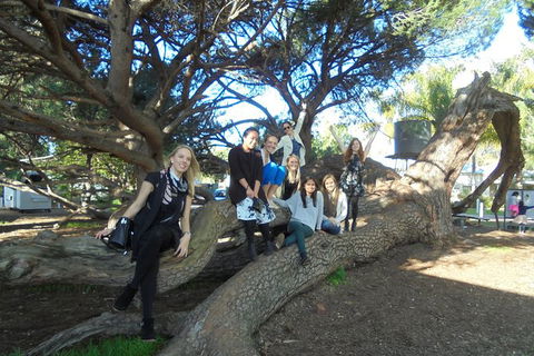 1/2 Day Swan Valley Wine Cheese & Chocolate Tour Inc Afternoon Cruise To Perth - Tourism Brisbane 10