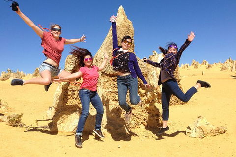 Pinnacles And Swan Valley Day Trip From Perth Including Caversham Wildlife Park, Vineyard Lunch, Pinnacles And Sandboarding - Tourism Brisbane 0