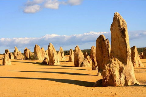 Pinnacles And Yanchep National Park Day Trip From Perth Including Lobster Shack Lunch And Sandboarding - Tourism Brisbane 0