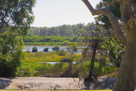 Pinnacles And Yanchep National Park Day Trip From Perth Including Lobster Shack Lunch And Sandboarding - Tourism Brisbane 10