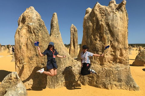Pinnacles And Yanchep National Park Day Trip From Perth Including Lobster Shack Lunch And Sandboarding - Tourism Brisbane 2