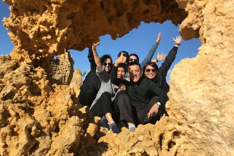 Pinnacles And Yanchep National Park Day Trip From Perth Including Lobster Shack Lunch And Sandboarding - Tourism Brisbane 5