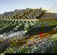 Margaret River Caves Wine and Cape Leeuwin Lighthouse Tour from Perth - Tourism Brisbane
