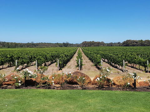 Margaret River Food, Wine & Sightseeing Tour From Perth - Tourism Brisbane 5