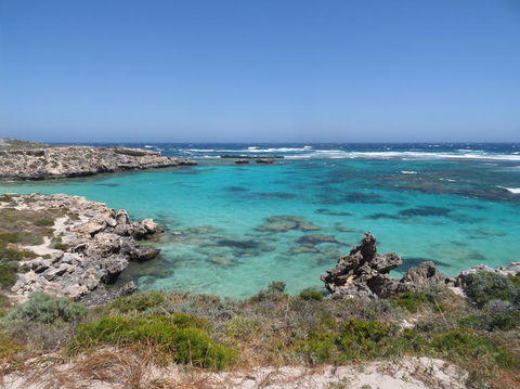 Rottnest Island Tour From Perth Or Fremantle Including Adventure Speed Boat Ride - Tourism Brisbane 3