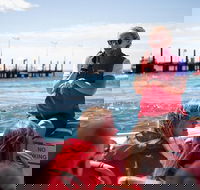 Rottnest Island Tour from Perth or Fremantle including Adventure Speed Boat Ride - Tourism Brisbane