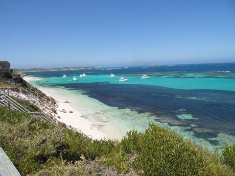Rottnest Island Tour From Perth Or Fremantle Including Adventure Speed Boat Ride - Tourism Brisbane 2