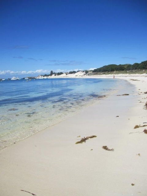 Rottnest Island Tour From Perth Or Fremantle Including Adventure Speed Boat Ride - Tourism Brisbane 4