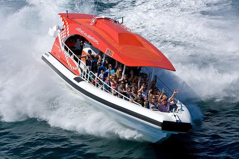Rottnest Island Tour From Perth Or Fremantle Including Adventure Speed Boat Ride - Tourism Brisbane 11