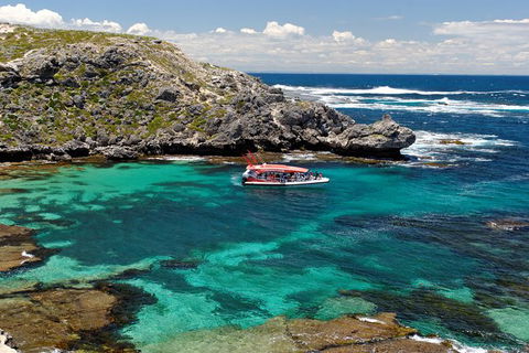 Rottnest Island Tour From Perth Or Fremantle Including Adventure Speed Boat Ride - Tourism Brisbane 10