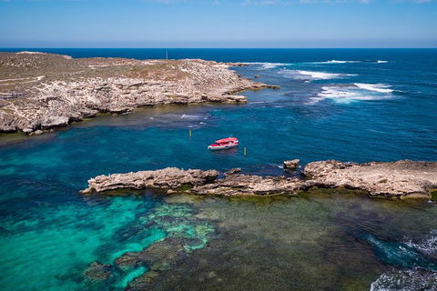 Rottnest Island Tour From Perth Or Fremantle Including Adventure Speed Boat Ride - Tourism Brisbane 13