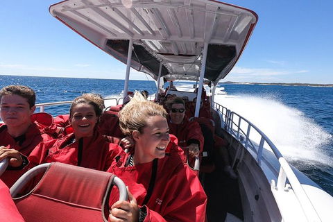 Rottnest Island Tour From Perth Or Fremantle Including Adventure Speed Boat Ride - Tourism Brisbane 8
