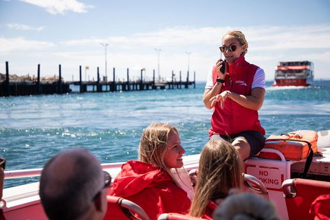 Rottnest Island Tour From Perth Or Fremantle Including Adventure Speed Boat Ride - Tourism Brisbane 12