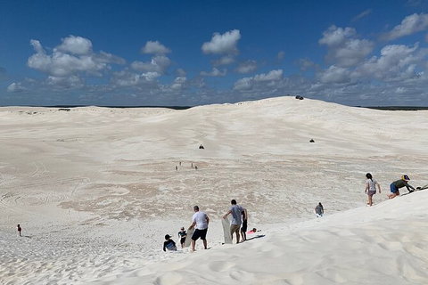 Pinnacles Day Trip From Perth Including Yanchep National Park - Tourism Brisbane 3