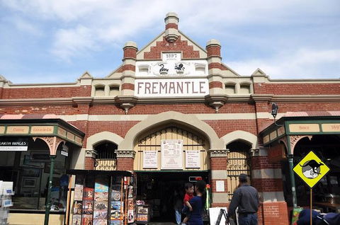Full-Day Penguin Island & Fremantle Town - Tourism Brisbane 1