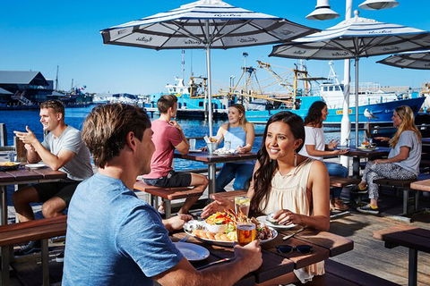 Full-Day Penguin Island & Fremantle Town - Tourism Brisbane 7