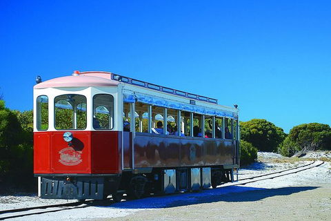Rottnest Island Grand Tour Including Lunch And Historical Train Ride - Tourism Brisbane 1
