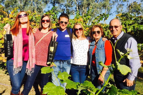 Swan Valley Tour From Perth: Wine, Beer And Chocolate Tastings - Tourism Brisbane 0