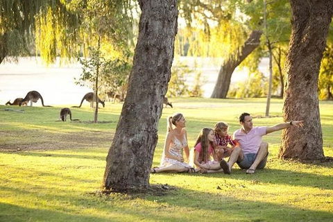 Pinnacles Sunset Dinner And Wildlife Experience A Small Group Tour - Tourism Brisbane 1