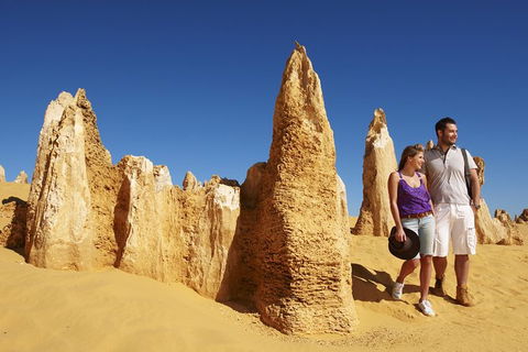 Pinnacles Sunset Dinner And Wildlife Experience A Small Group Tour - Tourism Brisbane 5