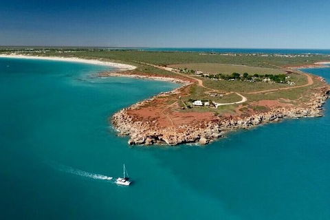 Snubfin Dolphin Eco Cruise From Broome - Tourism Brisbane 7