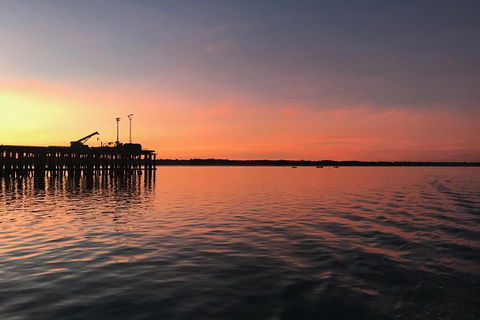 Snubfin Dolphin Eco Cruise From Broome - Tourism Brisbane 8