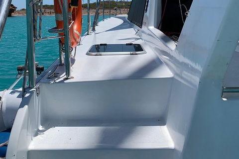 Snubfin Dolphin Eco Cruise From Broome - Tourism Brisbane 13