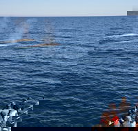 Blue Whale Perth Canyon Expedition - Tourism Brisbane