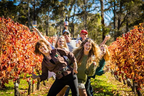 Margaret River Winery And Brewery Day Trip, Plus Gourmet Winery Lunch - Tourism Brisbane 4