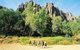 Gorgeous Gorges Tour - Windjana & Bell Gorge, Mt Hart, Cape Leveque - thumb 6