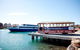 Perth Lunch Cruise Including Fremantle Sightseeing Tram Tour - thumb 0