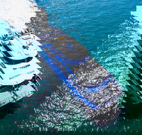 Rottnest Island Roundtrip Ferry from Perth with Transfer - Tourism Brisbane
