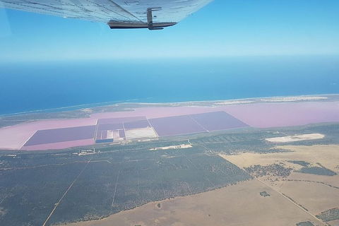 Monkey Mia Dolphins & Shark Bay Air Tour From Perth - Tourism Brisbane 6