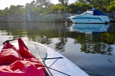 Perth Stand Up Paddle Hire - Tourism Brisbane 0