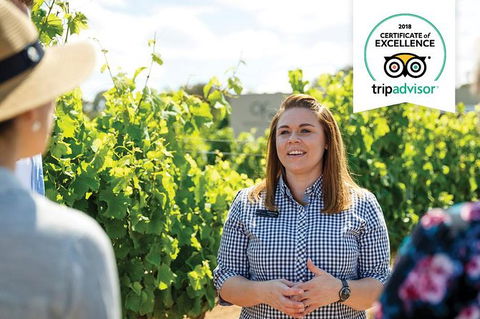 Swan Valley Wine Adventure - Half Day Premium Boutique Winery Tour - Tourism Brisbane 0