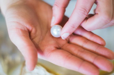Harvest Your Own Pearl Private Experience - Perth - Tourism Brisbane 5