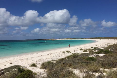 Abrolhos Island Half Day Fly And Flipper - Tourism Brisbane 0