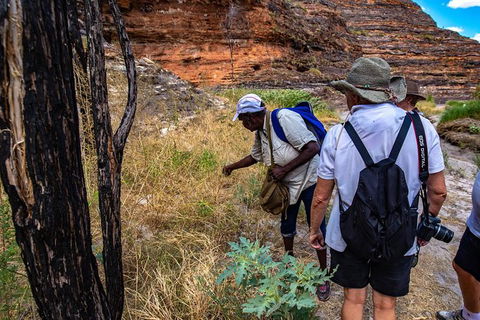 Bungles Day Trek - Tourism Brisbane 3