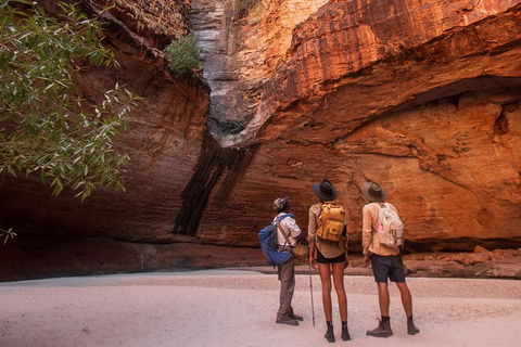 Bungles Day Trek - Tourism Brisbane 2