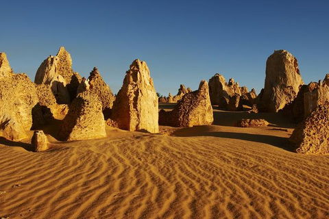 Full Day Pinnacle Desert Explorer From Perth Including Hillarys And Lancelin Sandboarding - Tourism Brisbane 1