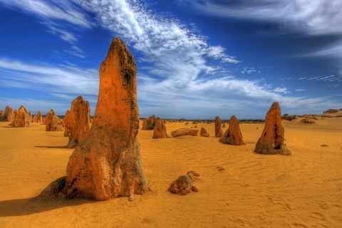 Full Day Pinnacle Desert Explorer From Perth Including Hillarys And Lancelin Sandboarding - Tourism Brisbane 5