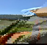Small-Group Bickley Valley Wine Tour - Tourism Brisbane