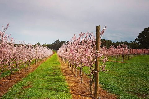 Small-Group Bickley Valley Wine Tour - Tourism Brisbane 11