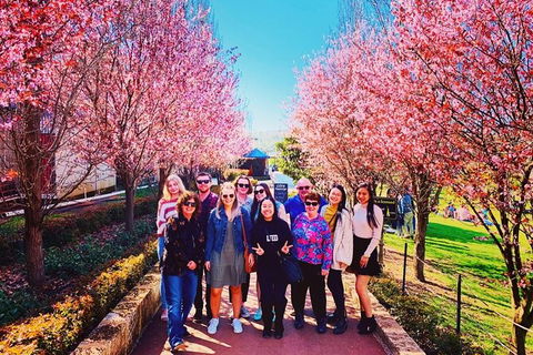 Small-Group Bickley Valley Wine Tour - Tourism Brisbane 10