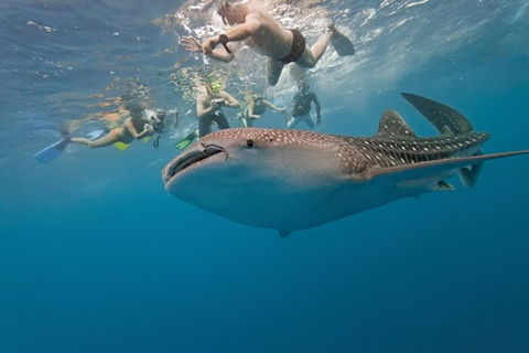 7 Day Perth To Exmouth Cruiser : Return - Tourism Brisbane 1